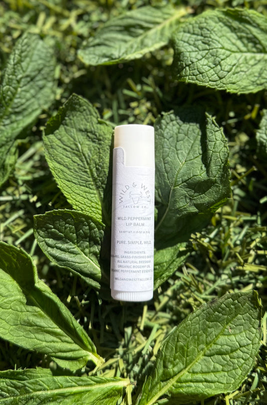 Wild Peppermint Tallow Lip Balm