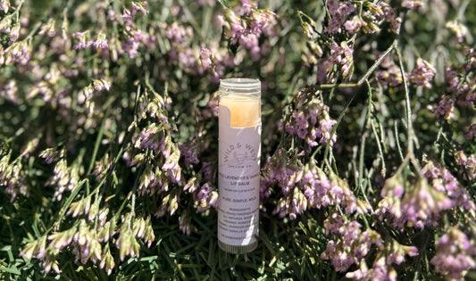 Wild Lavender & Vanilla Tallow Lip Balm