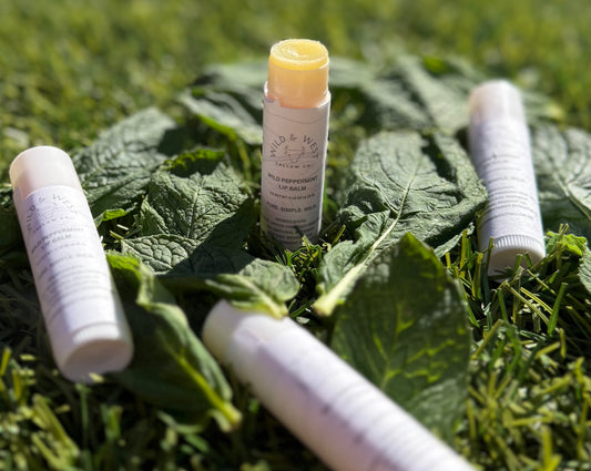 Wild Peppermint Tallow Lip Balm